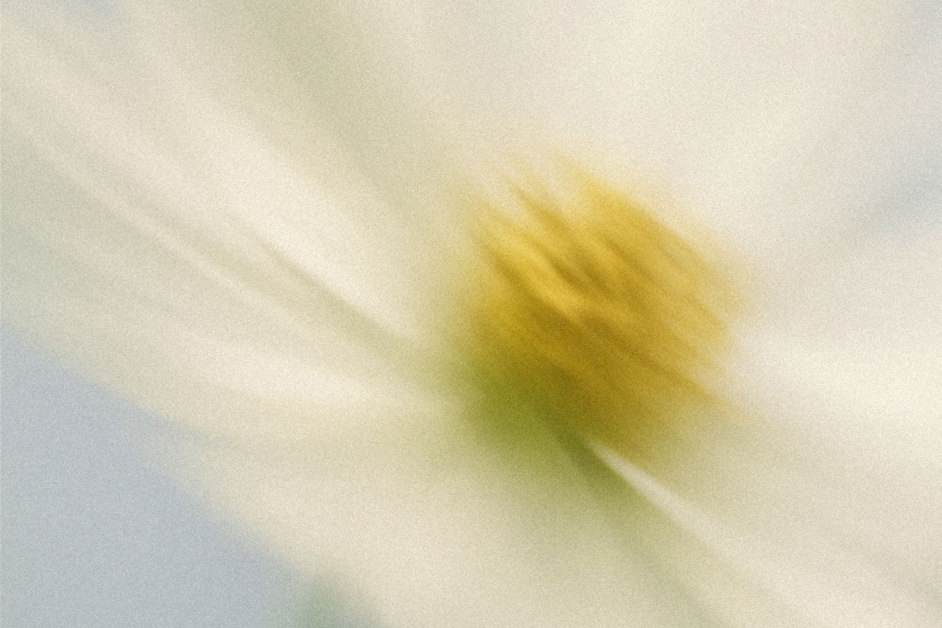 Aromaterapie hrou: účinky vůní, které změní váš den